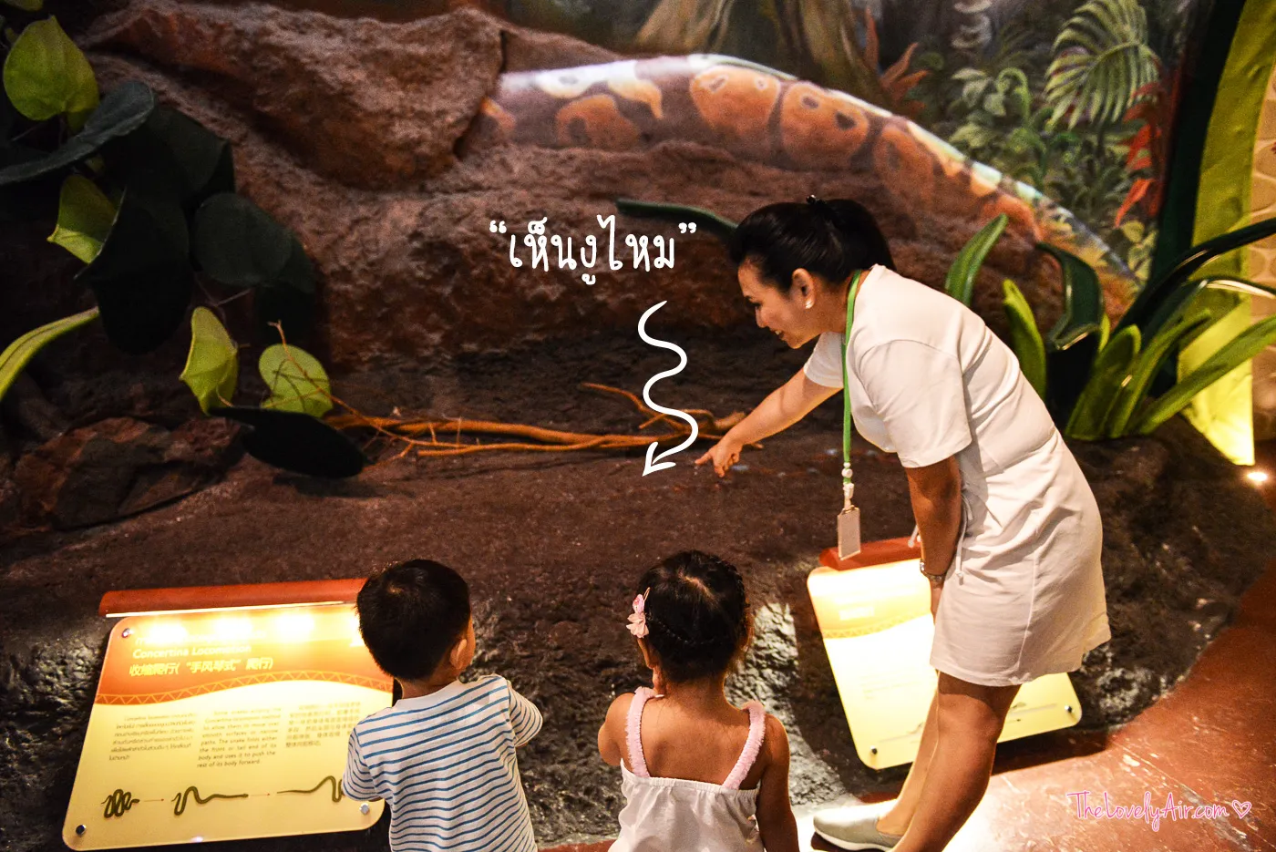 siam serpentarium
