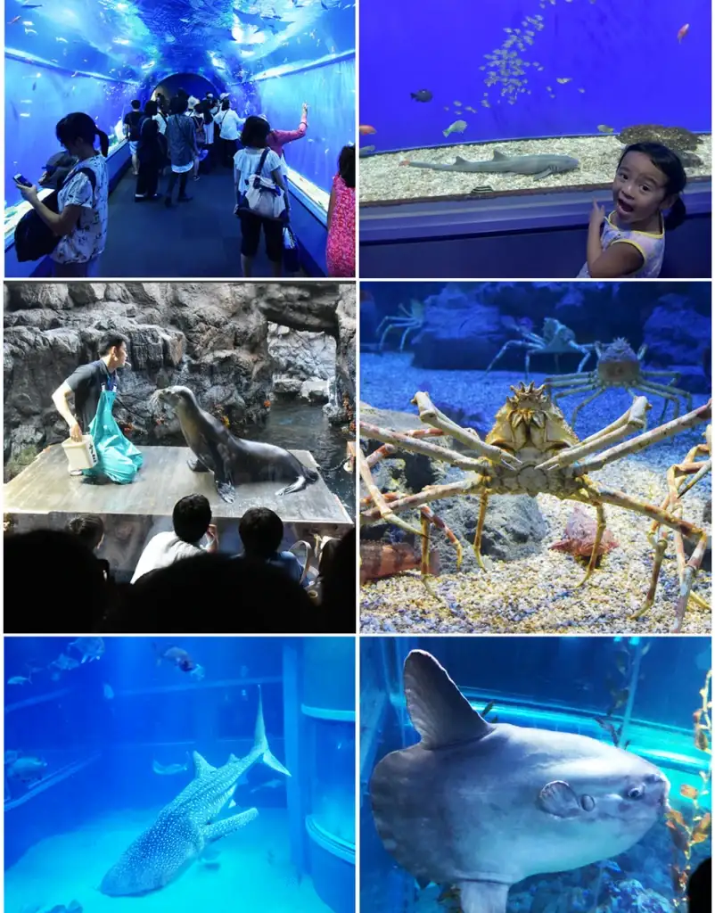 Osaka - โอซาก้า - TheLovelyAir