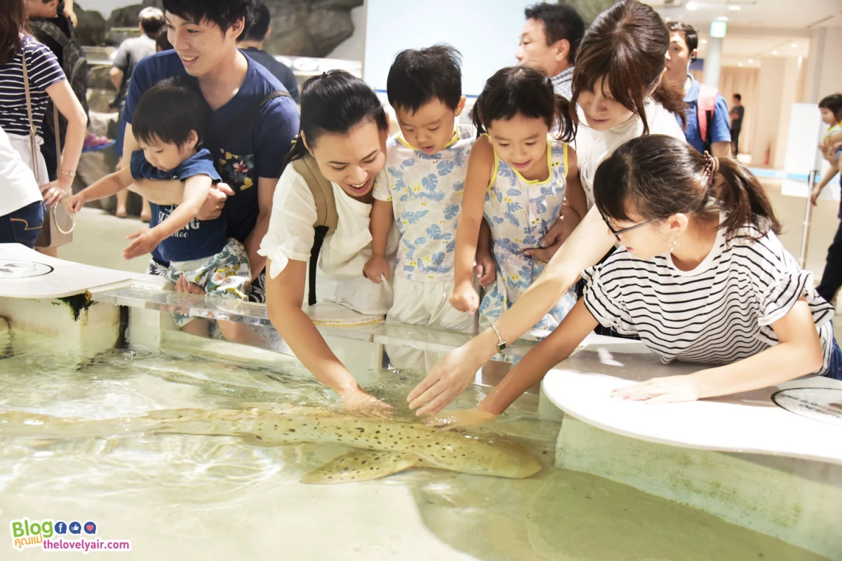 Osaka - โอซาก้า - TheLovelyAir