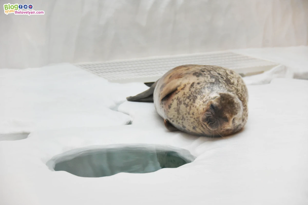 Osaka - โอซาก้า - TheLovelyAir