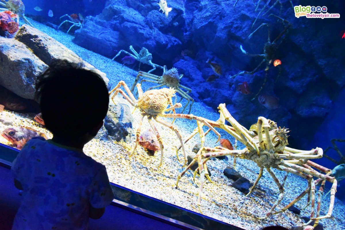 Osaka - โอซาก้า - TheLovelyAir