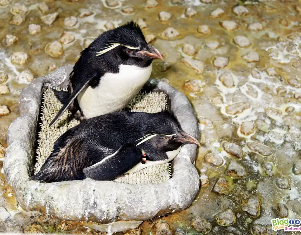 Osaka - โอซาก้า - TheLovelyAir