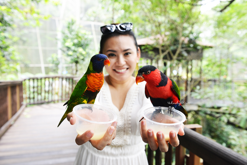 Jurong-Bird-Park-lovelyair-7