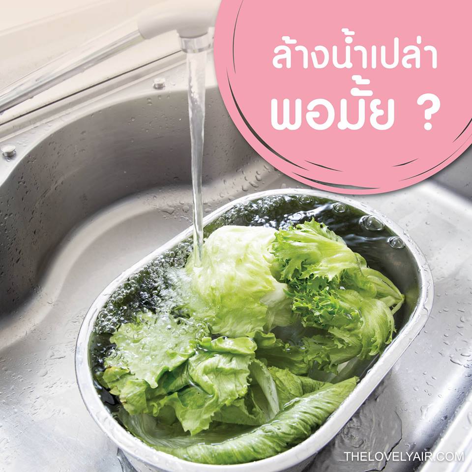 น้ำยาล้างผักผลไม้ Lamoon Green Cleanser 
