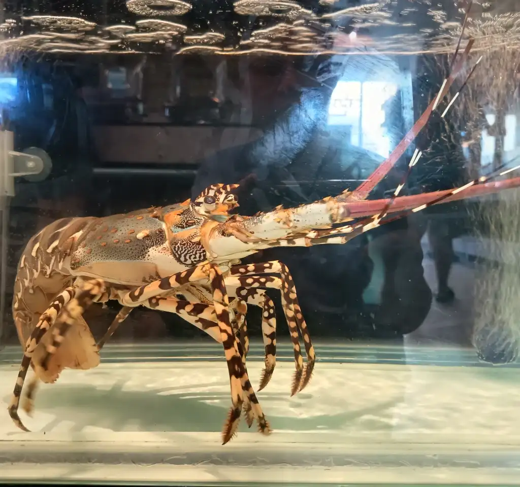 Somerset pattaya - thelovelyair