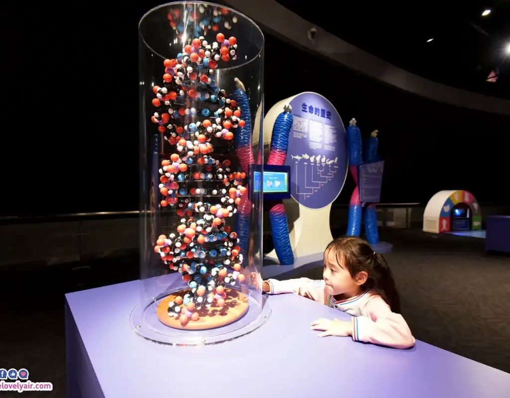 มาเก๊า - Macau - TheLovelyAir