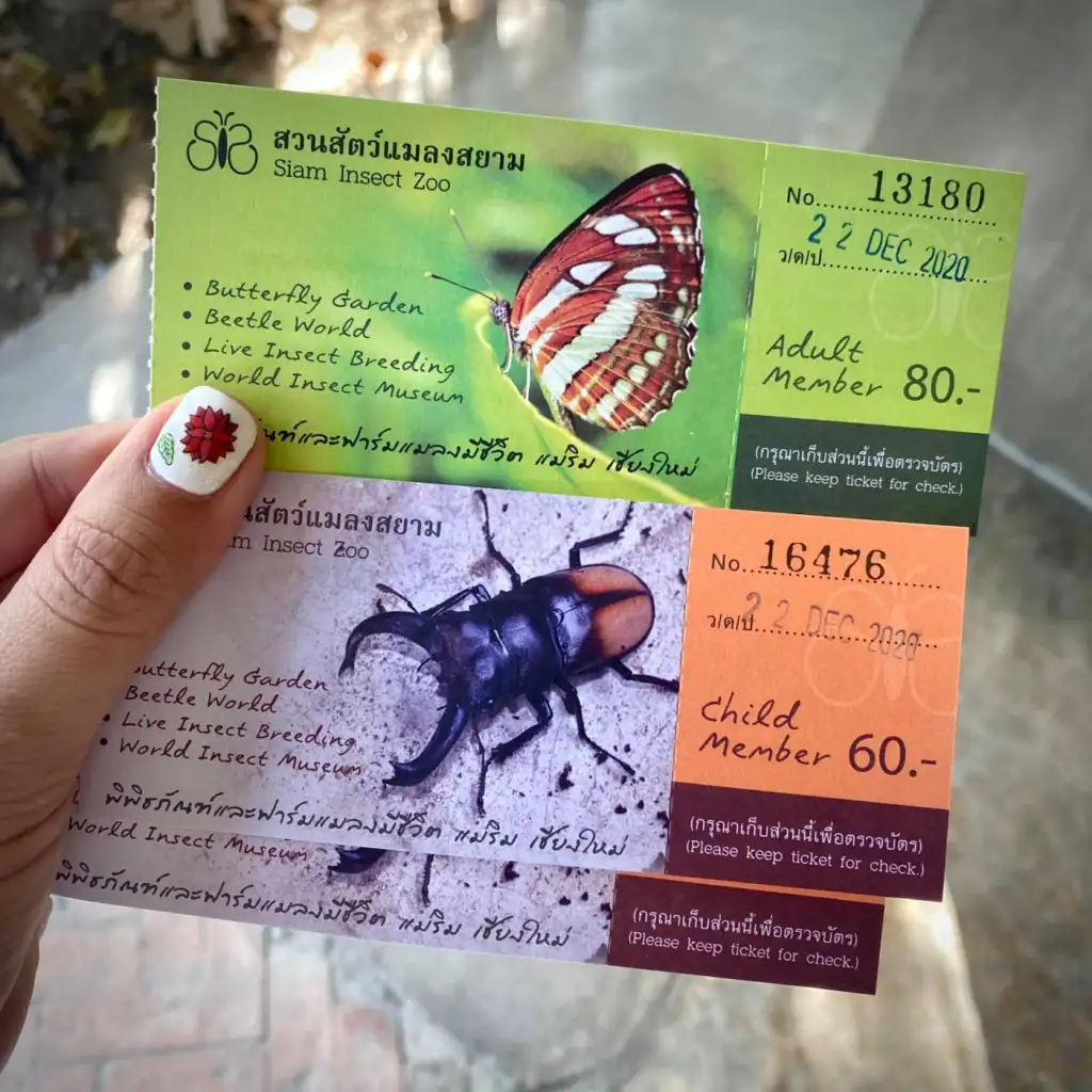 Siam Insect Museum