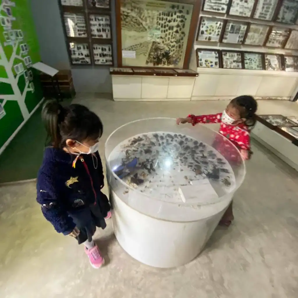Siam Insect Museum